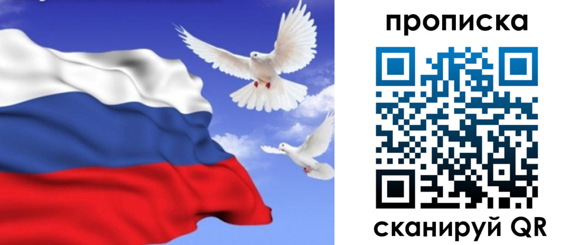 временная регистрация гарантия в Купино